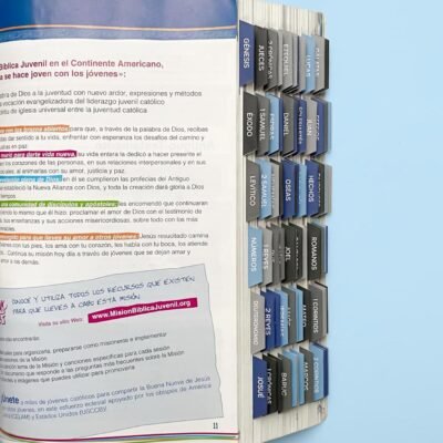 PESTAÑAS PARA BIBLIA CATÓLICA - Colores azul y gris