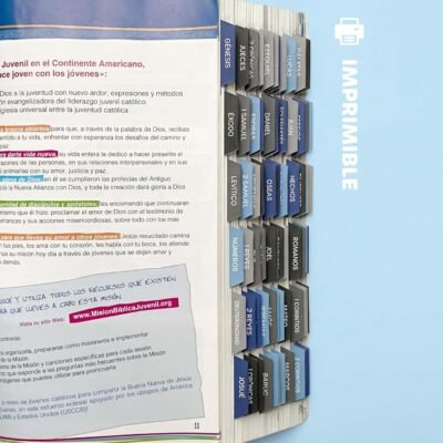 IMPRIMIBLES - Pestañas para biblia católica - Colores azul y gris